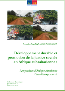  	Développement durable et promotion de la justice sociale en Africa subsaharienne : Perspectives d’éthique chrétienne d’éco-développement 